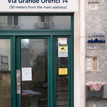 Universita Nápoly