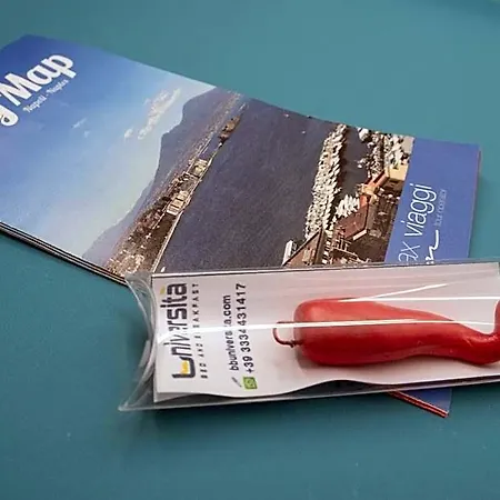 Universita