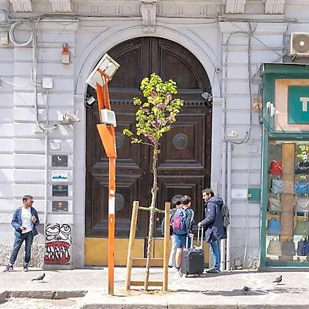 Bed & Breakfast Universita 4*